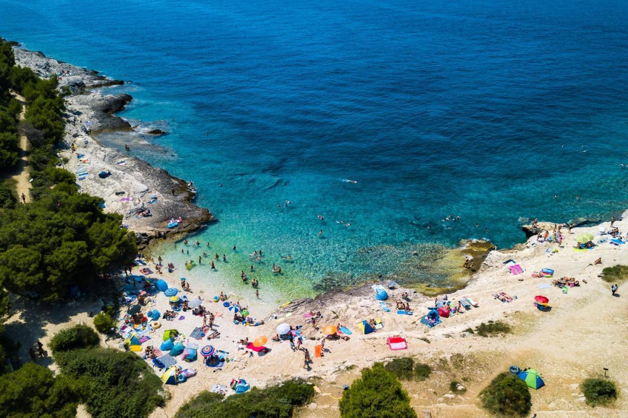 Lovely Istrian Apartment With A Private Swimming Pool And A Charming Garden Баньоле Екстер'єр фото